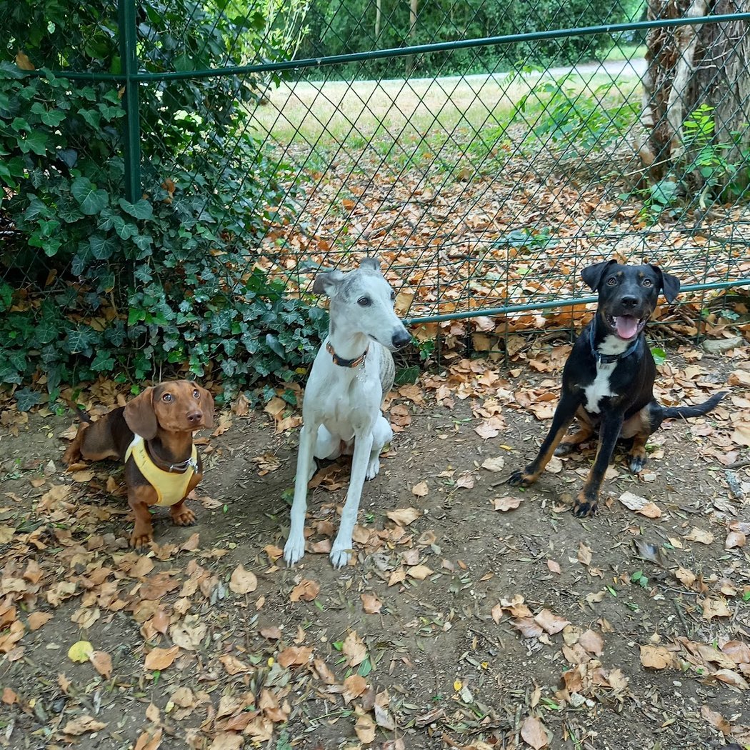 Chez Mimine & Zouzou 3
